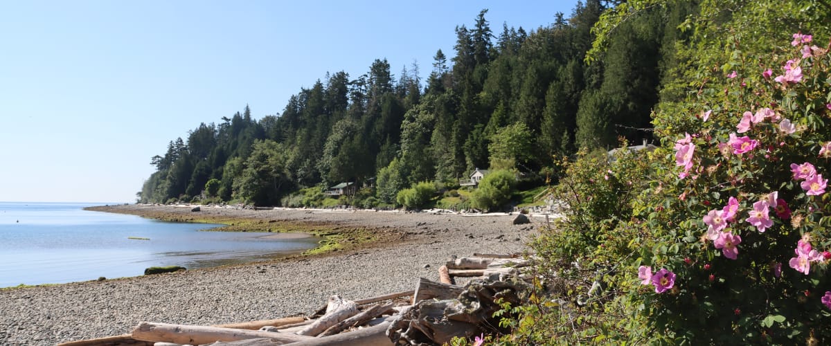 Banner-Sunshine-Coast-Sargeant-Bay-Provincial-Park