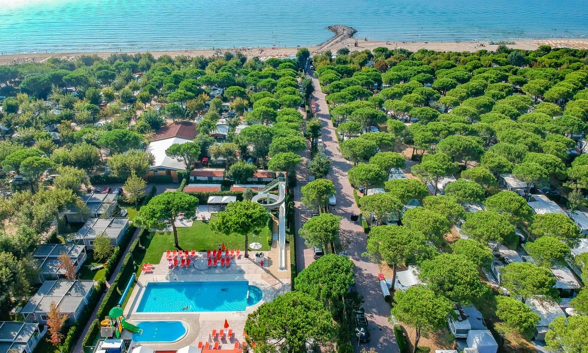 072343e201a66.original