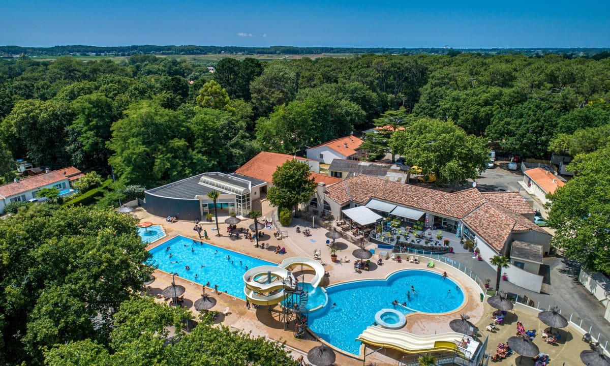 0f6e5d16b7716.original