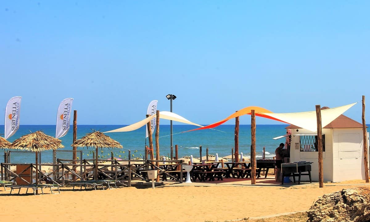 1d8756cbcc646.original