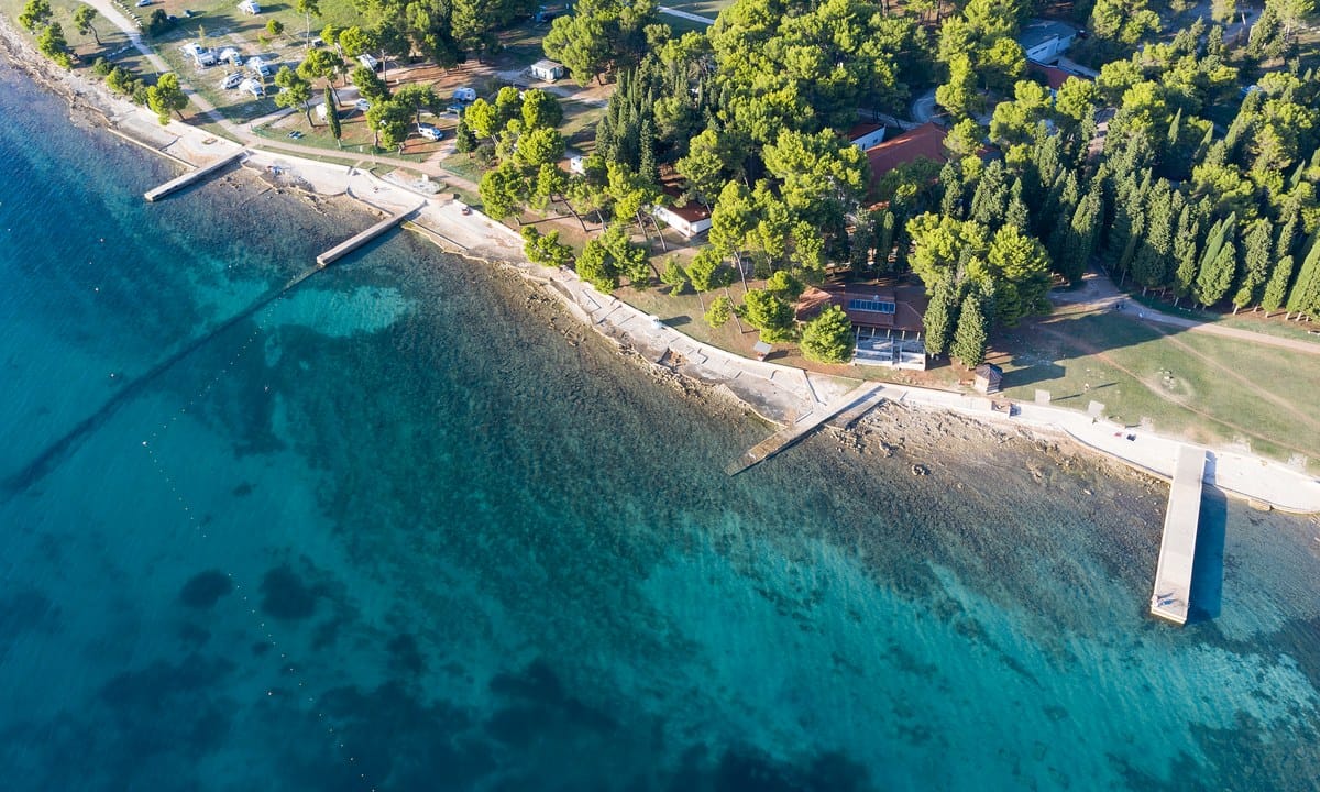 3295012847df5.original