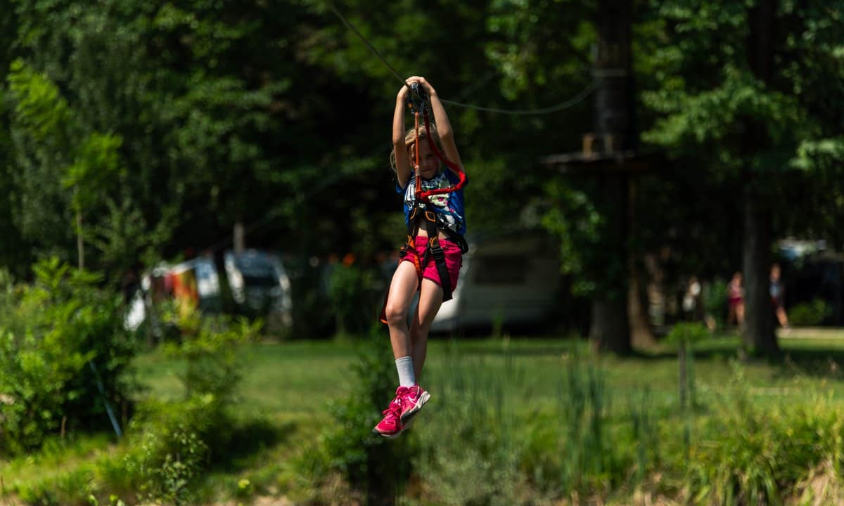 3ab5eef648576.original