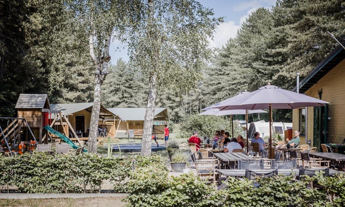 459e229907656.original