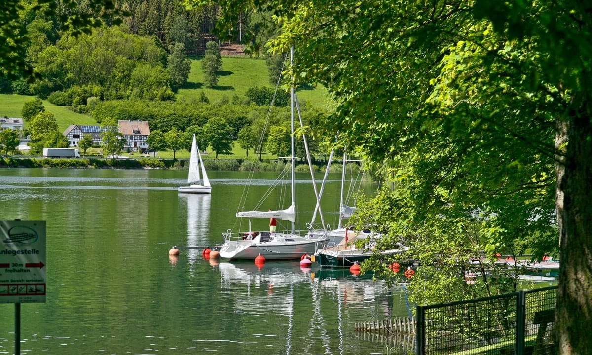 46f0488f52916.original