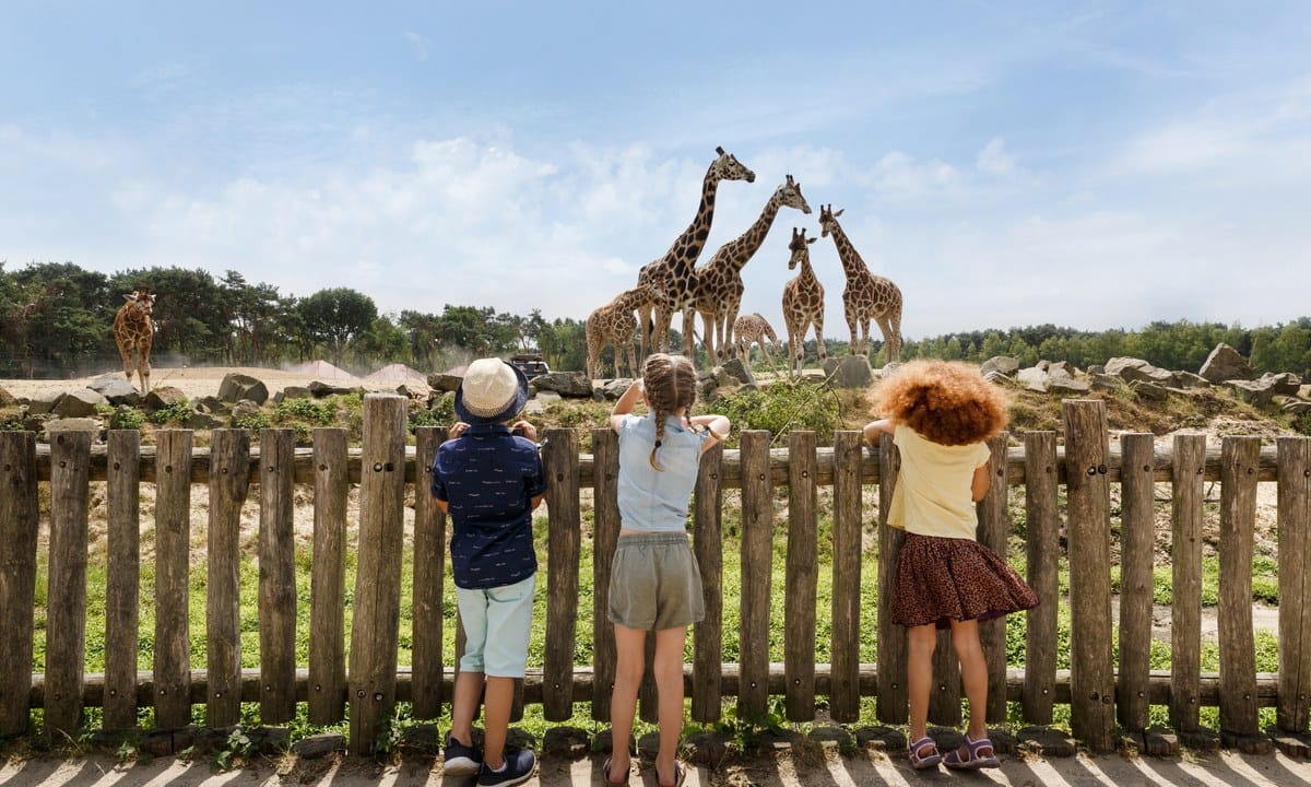 4b35ce4c34e06.original