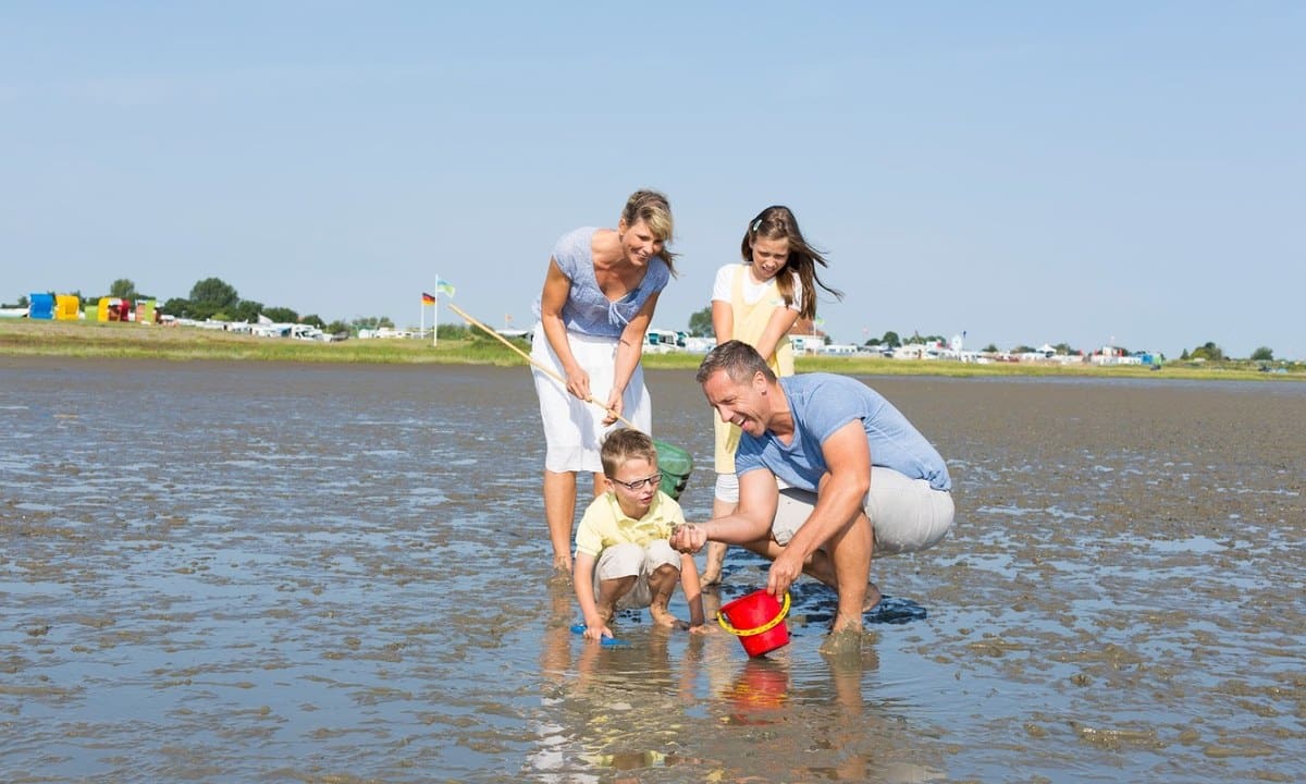 4e8db86432916.original