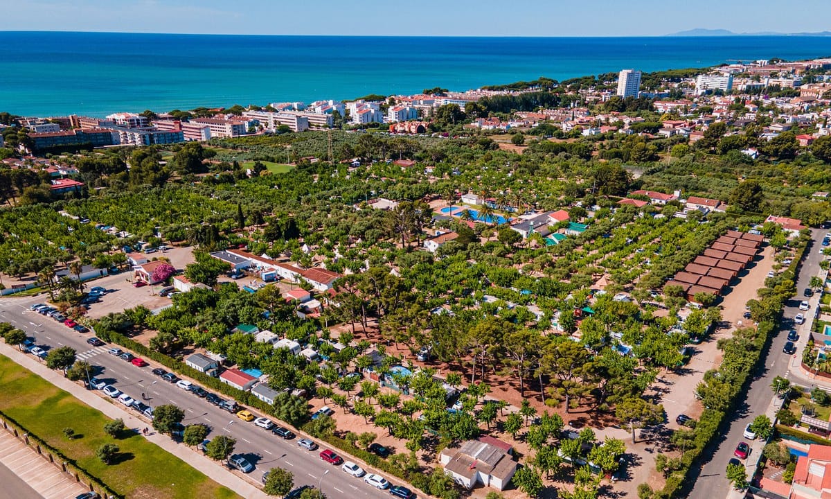 4faf7abda6246.original