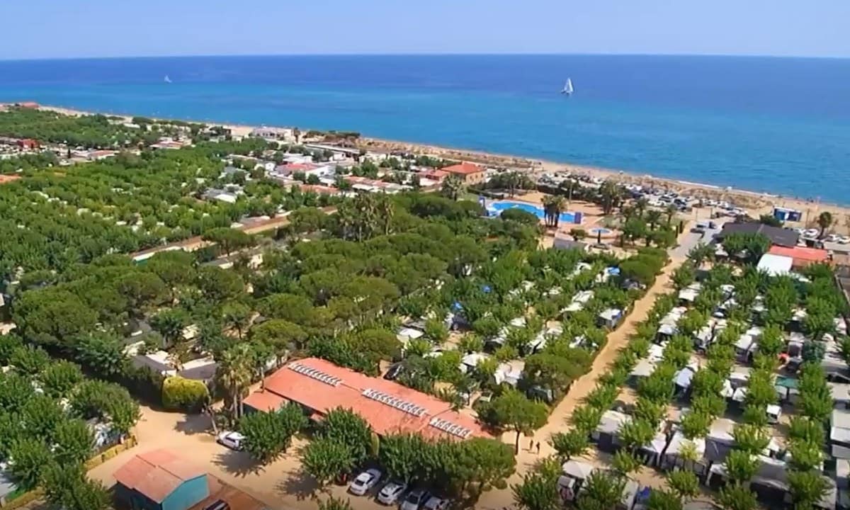 64f87f9a83916.original