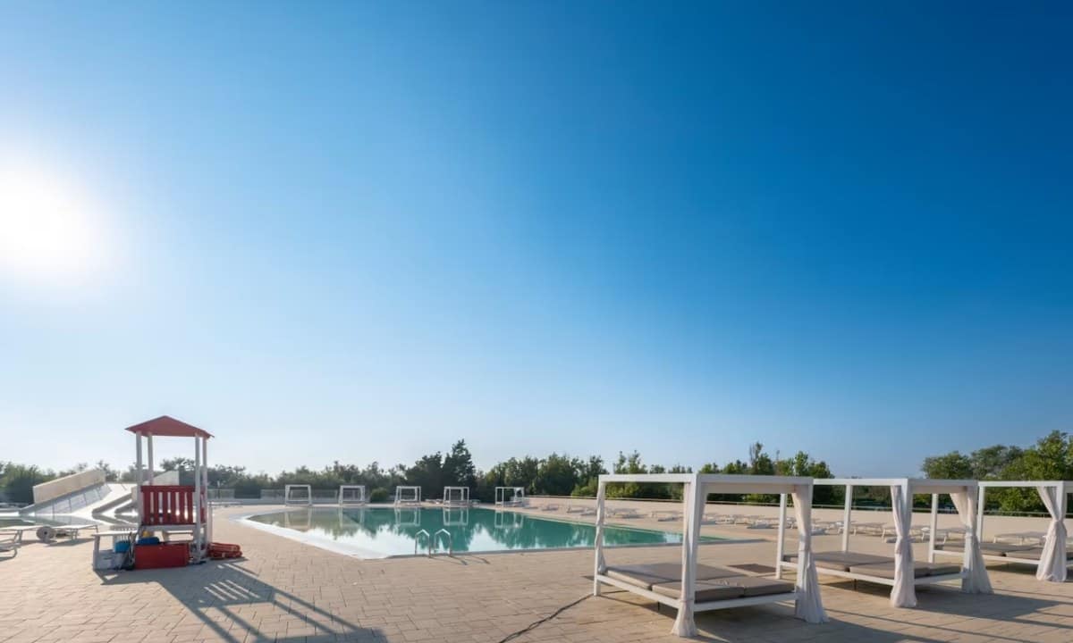 79332ac127376.original