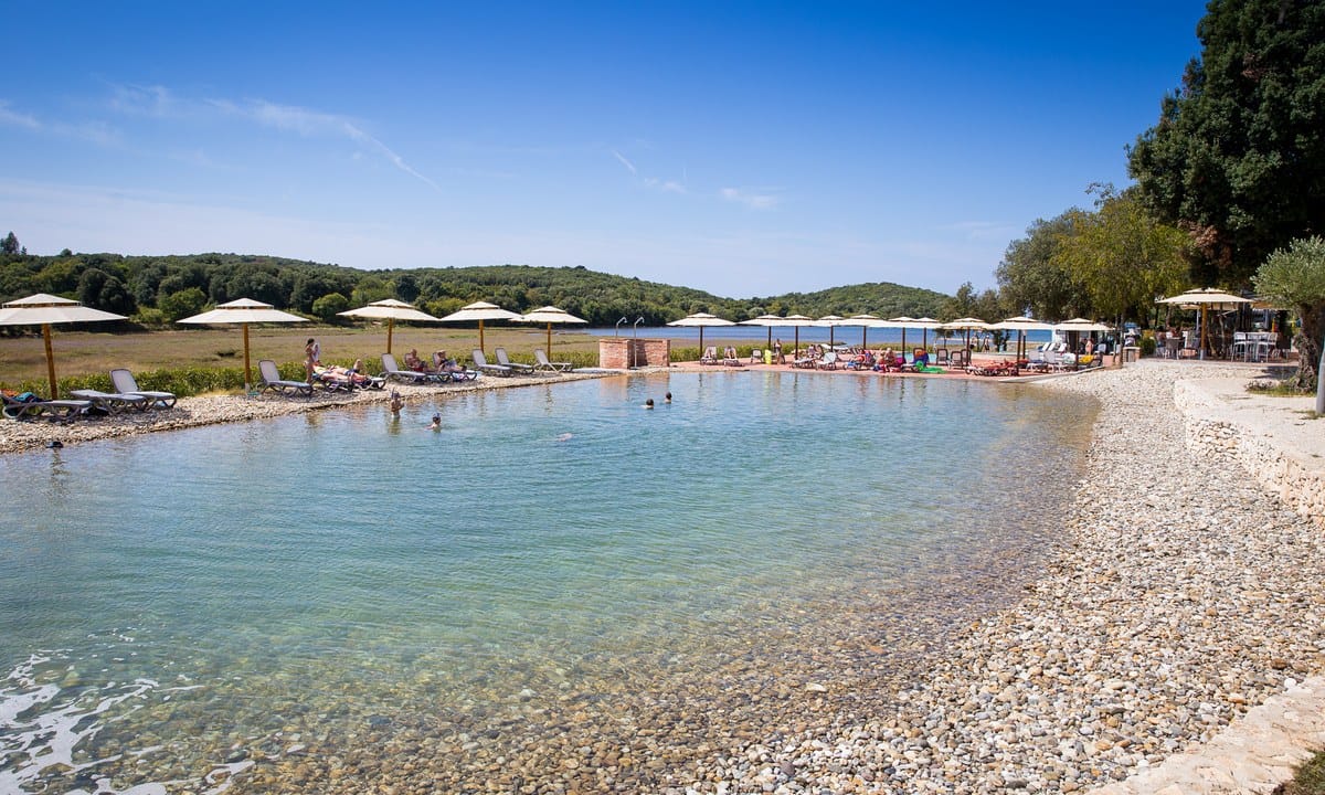 82ebdad787736.original