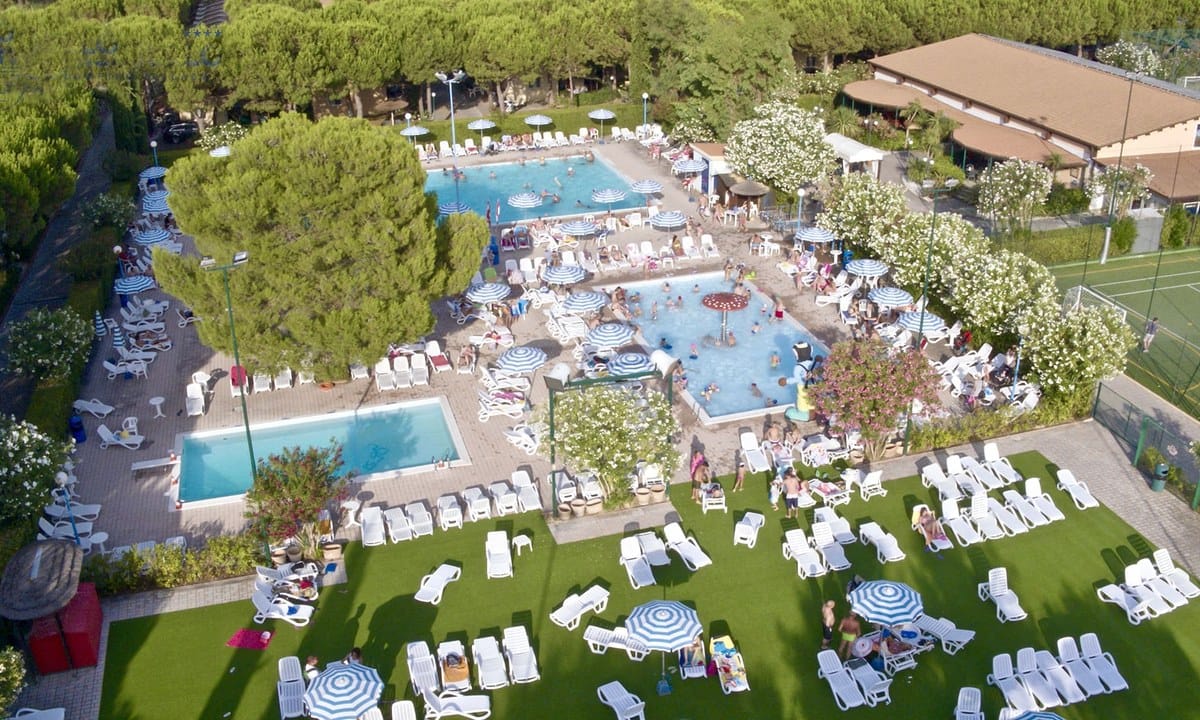 84d10e141a176.original