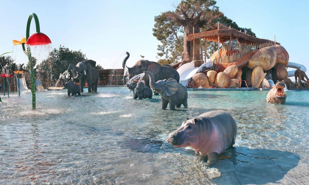 ab4d39d2a0e95.original