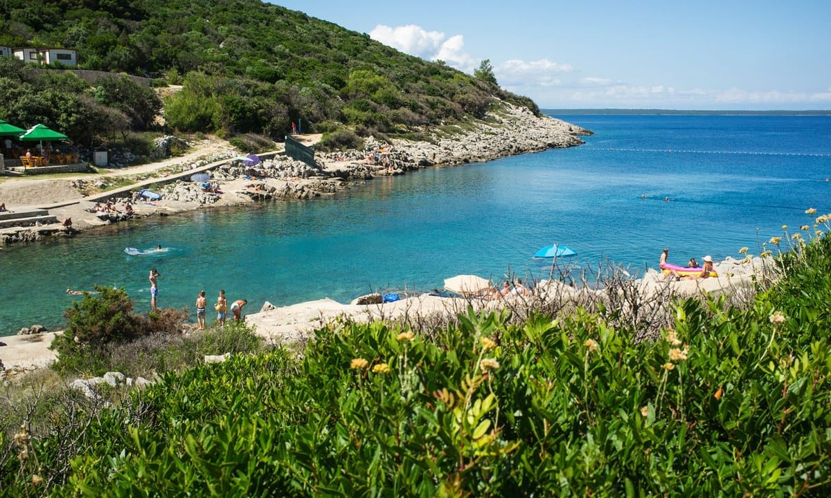 b6ada234bcab5.original