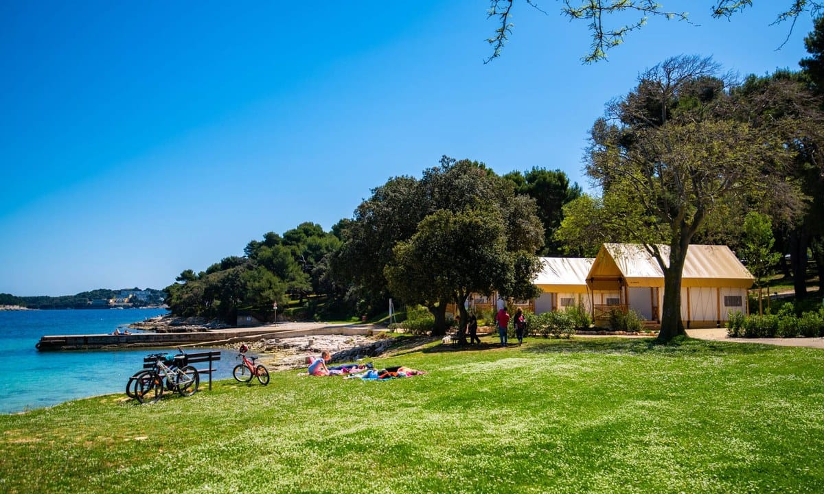 b781cc26027e5.original