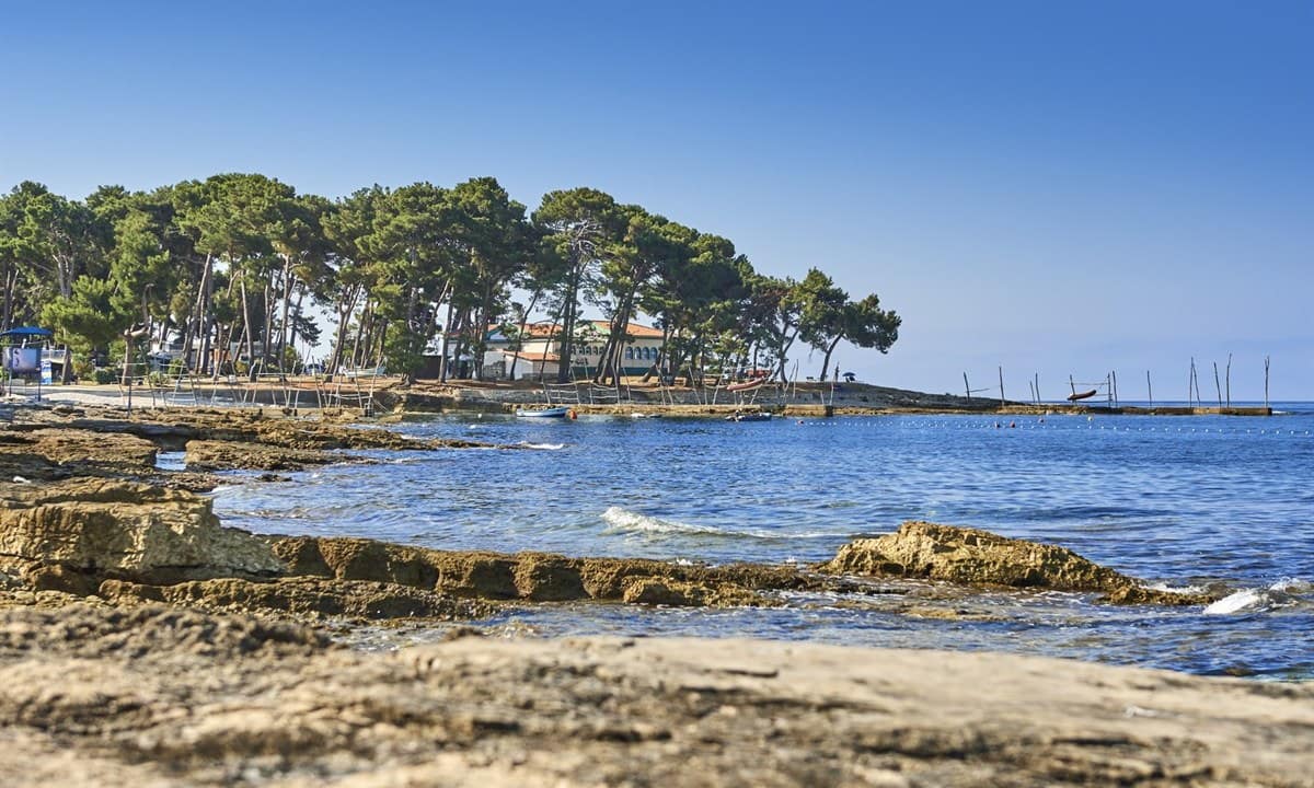 b8bd3144cf536.original