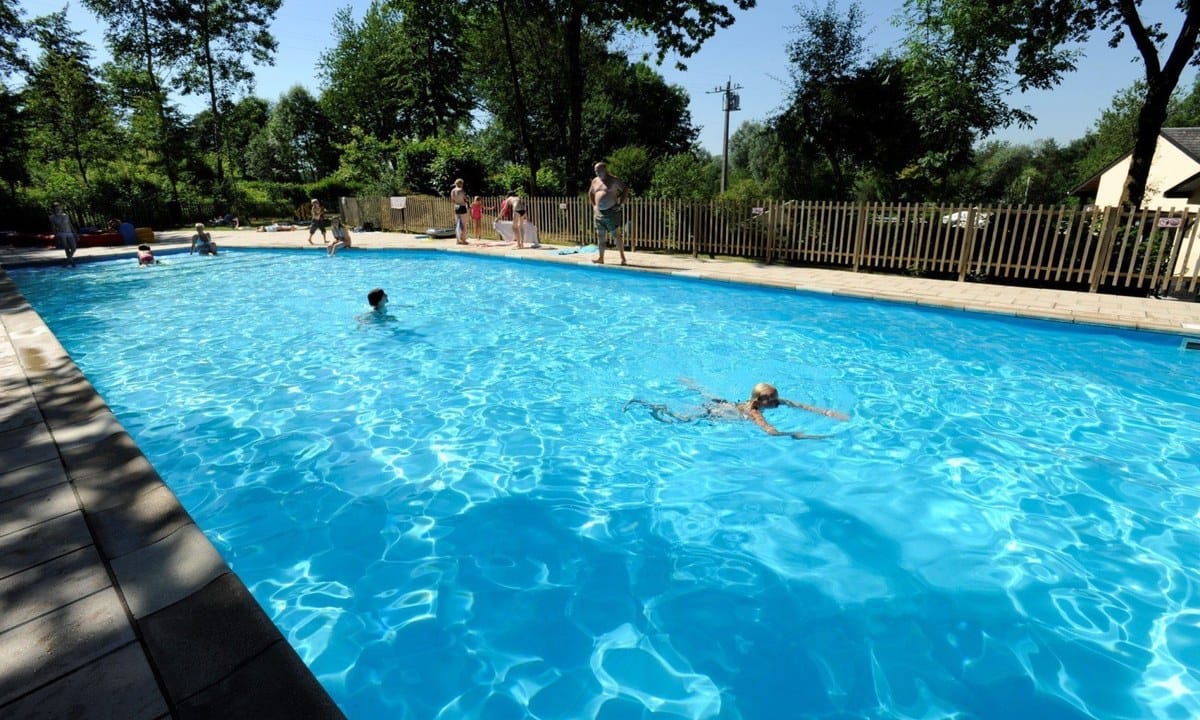 f1ea4455aea46.original