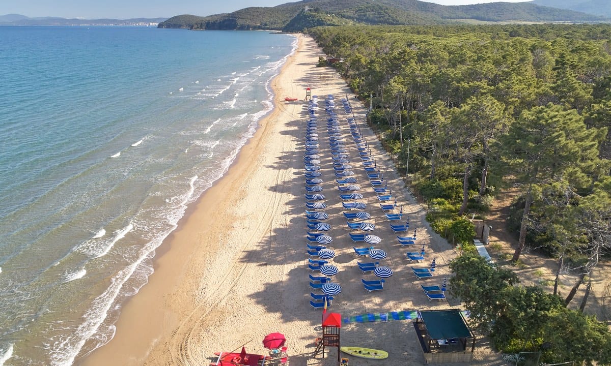 f9ce45d7ab916.original