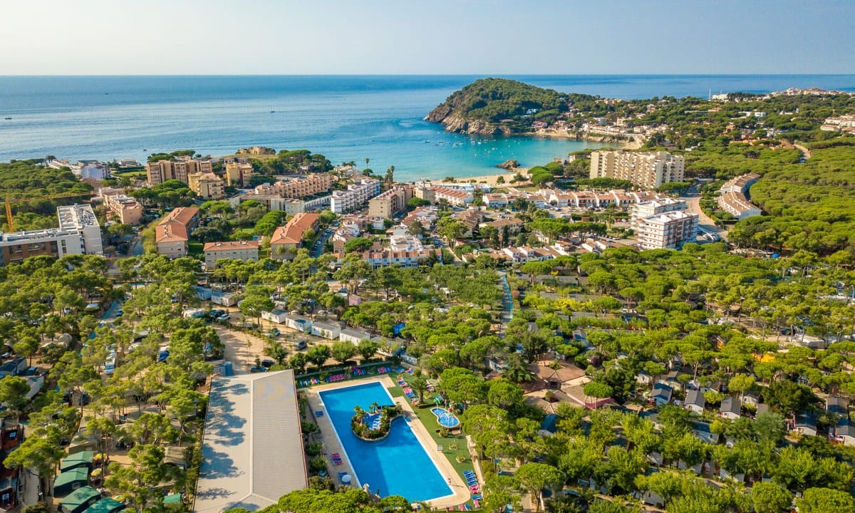 0297b947ea846.original