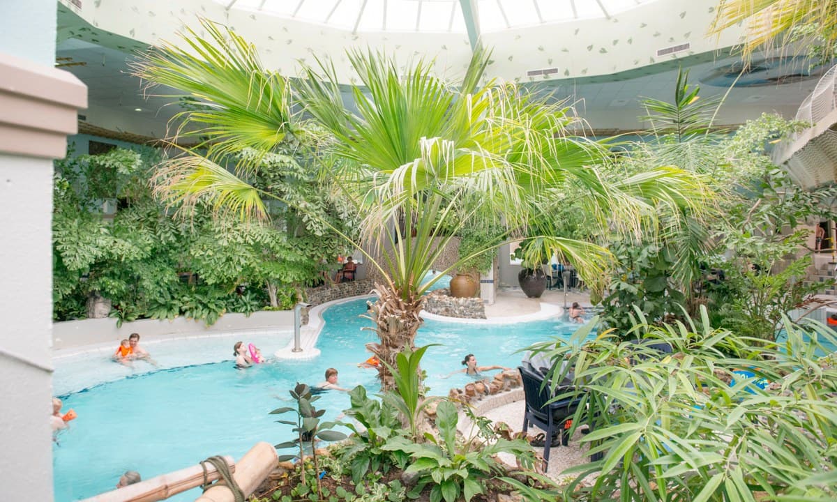 17dde9df04066.original