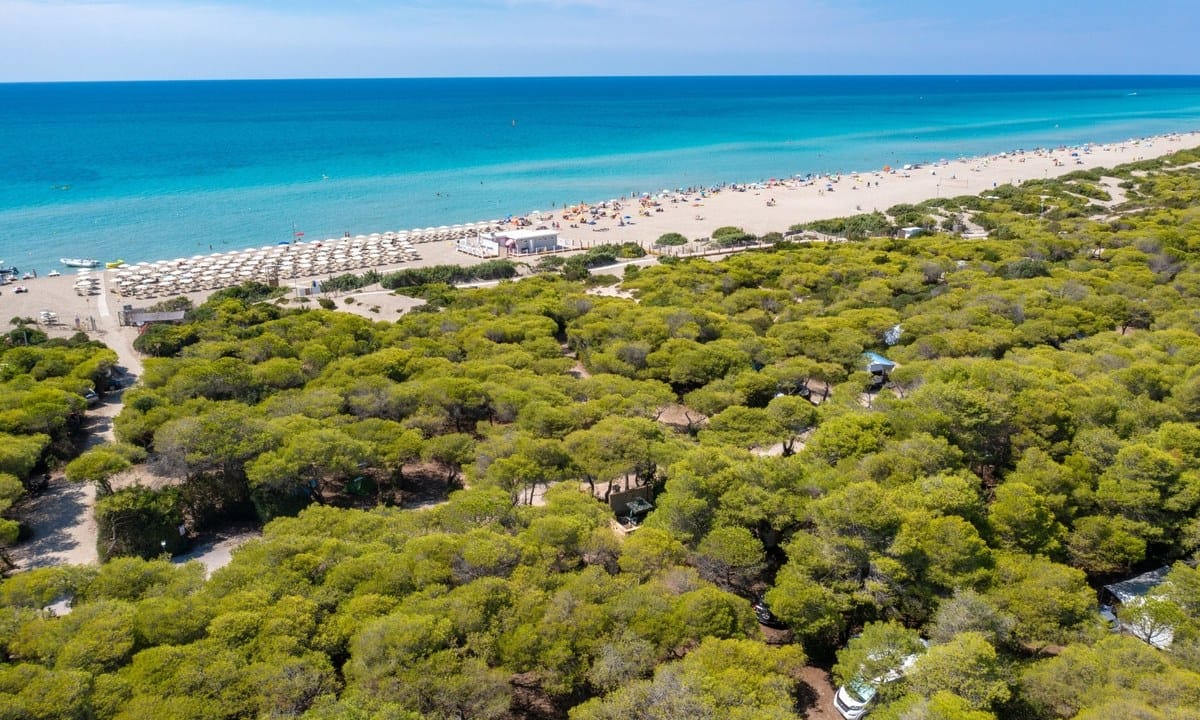 1966a0771b646.original