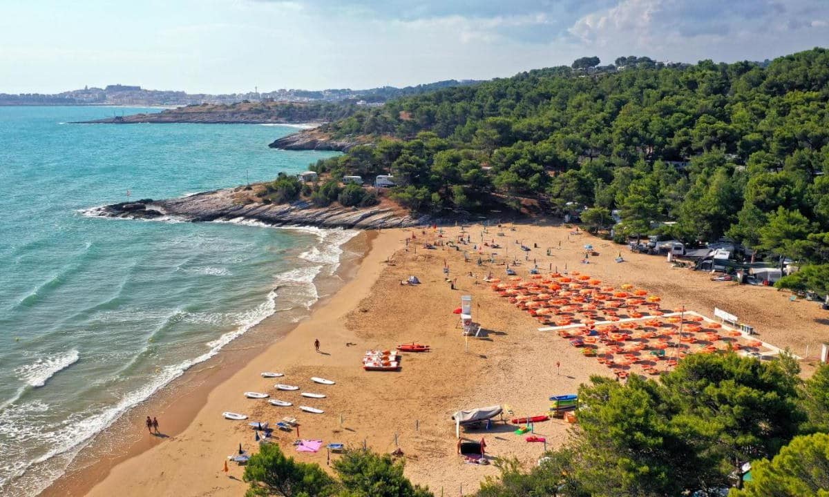 38a53ee5b5656.original