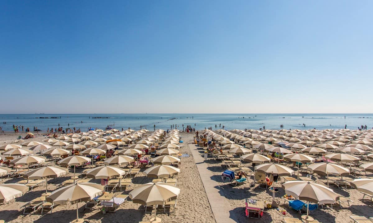 a4e096d978226.original