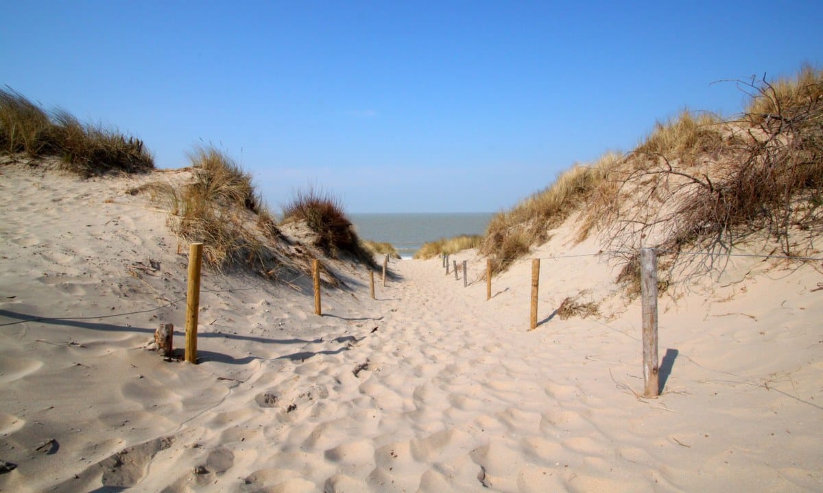 25975c2ddb776.original