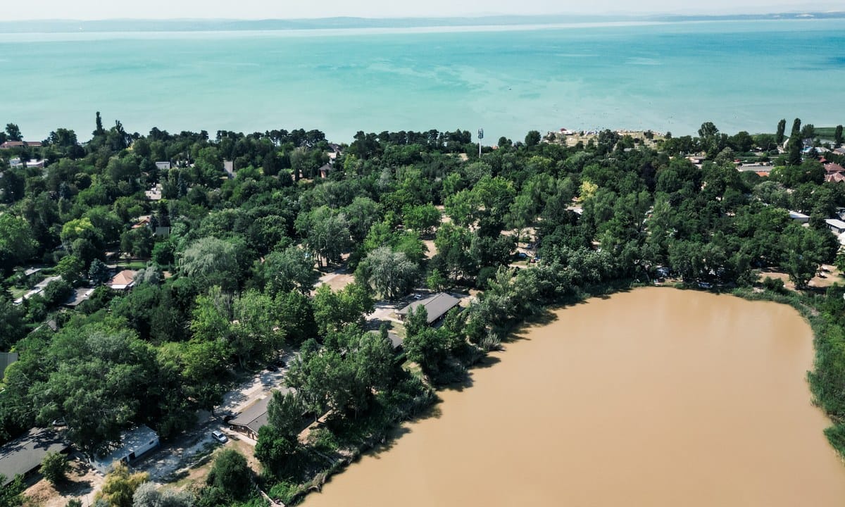 ef1176962ef76.original