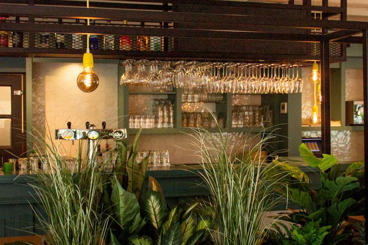 vakantiepark-molke-vakantiepark-overijssel-zuna-661e7c6ed71bb