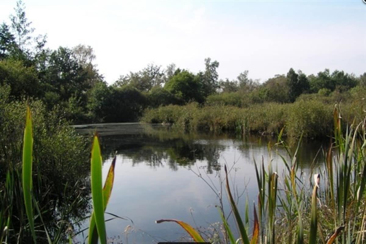 vakantiecomplex-de-kattenberg-vakantiehuis-winterswijk954799bad5