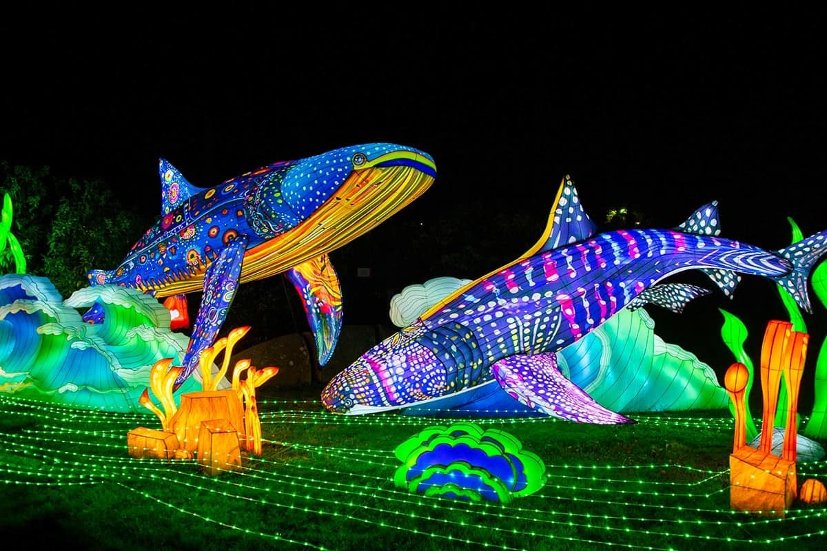 Ouwehands Light Nights in Rheden