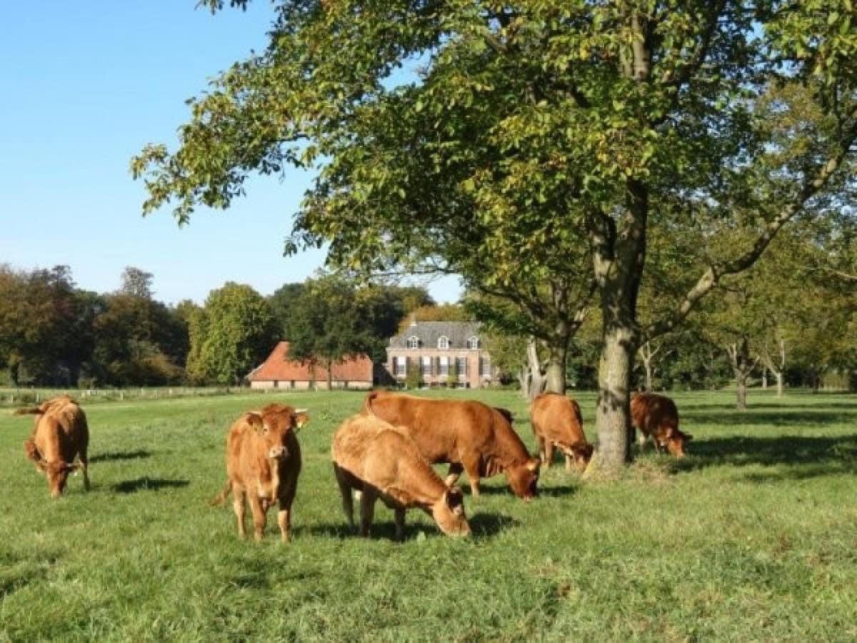 landgoed-zelle-vakantiehuis-03323f250a