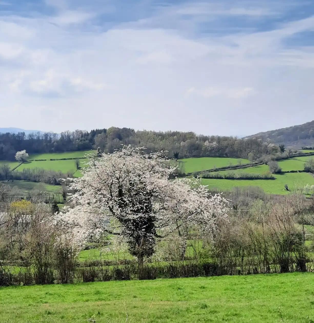 c6246354781adeb8560398c32b2f3502