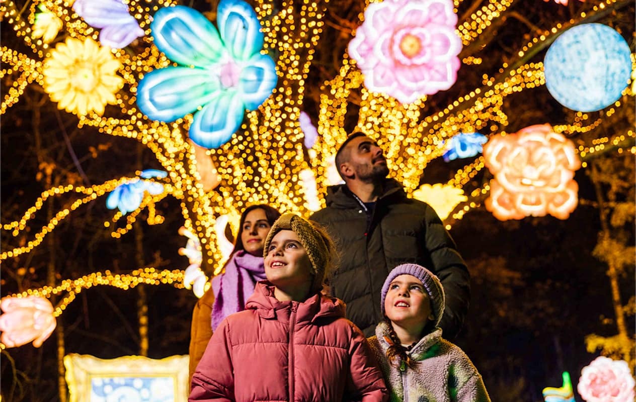 Beekse Bergen  Light Safari 