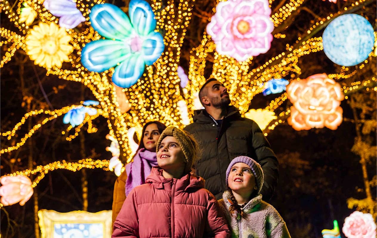 Beekse Bergen Light Safari