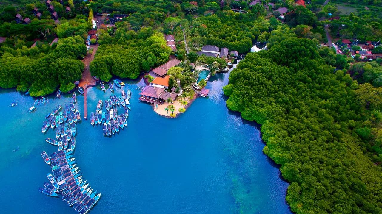 aW1hZ2VzLXR3ZC13aGl0ZWxhYmVsLXByZC9kZWpvbmdpbnRyYS9hSFIwY0hNNkx5OXBiV0ZuWlhNdVpHVnFiMjVuYVc1MGNtRXVibXd2WVhOelpYUXZhVzFoWjJVdk9HRXdaamM0WmpndE5URmxNaTAwT1RRd0xUbG1PR1F0TVRWbU5EaGtZekUxWXpCaUwxY3ZTQQ