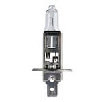 Philips 12258PRB1 H1 Vision