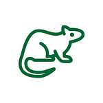 Ratten en knaagdieren