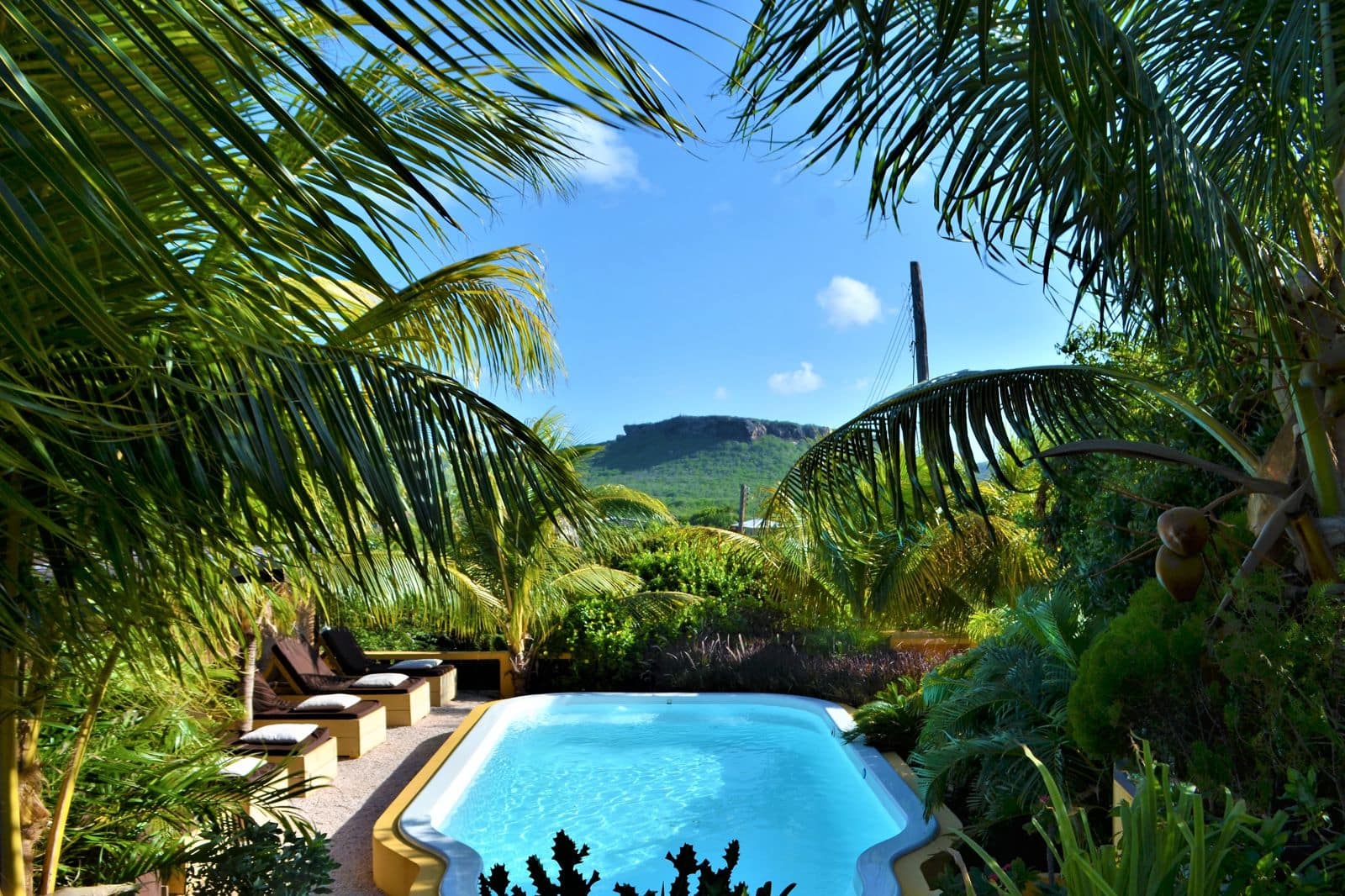 L1E11216A1W1600H1066