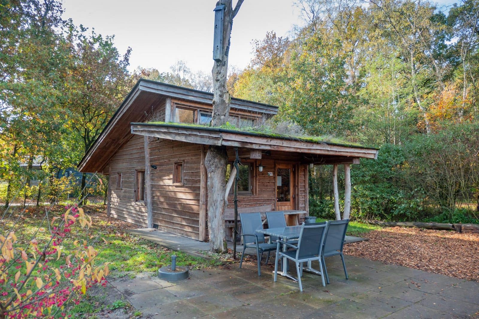 nature-lodge-de-wije-werelt