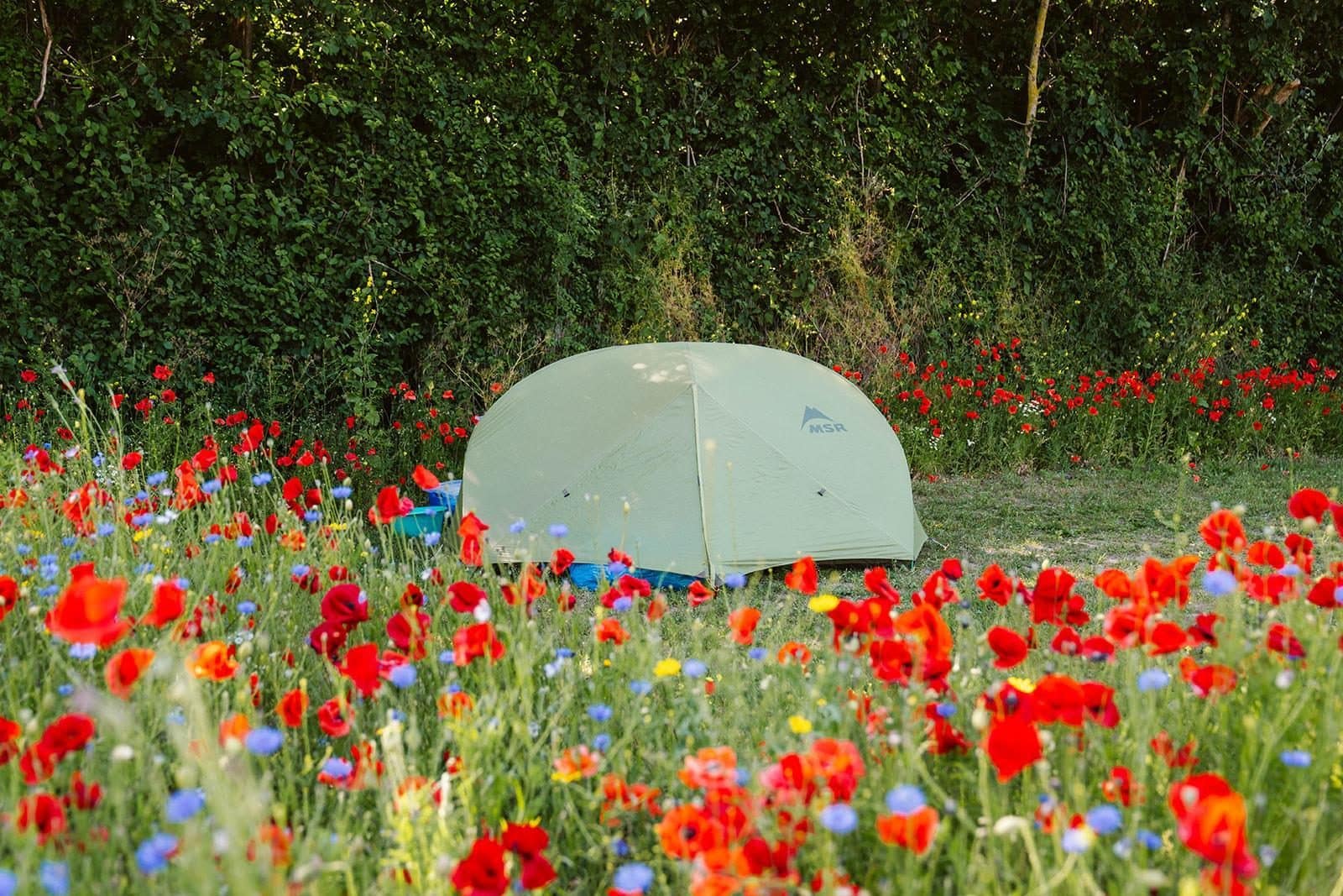 cover_20230614-MTC04364