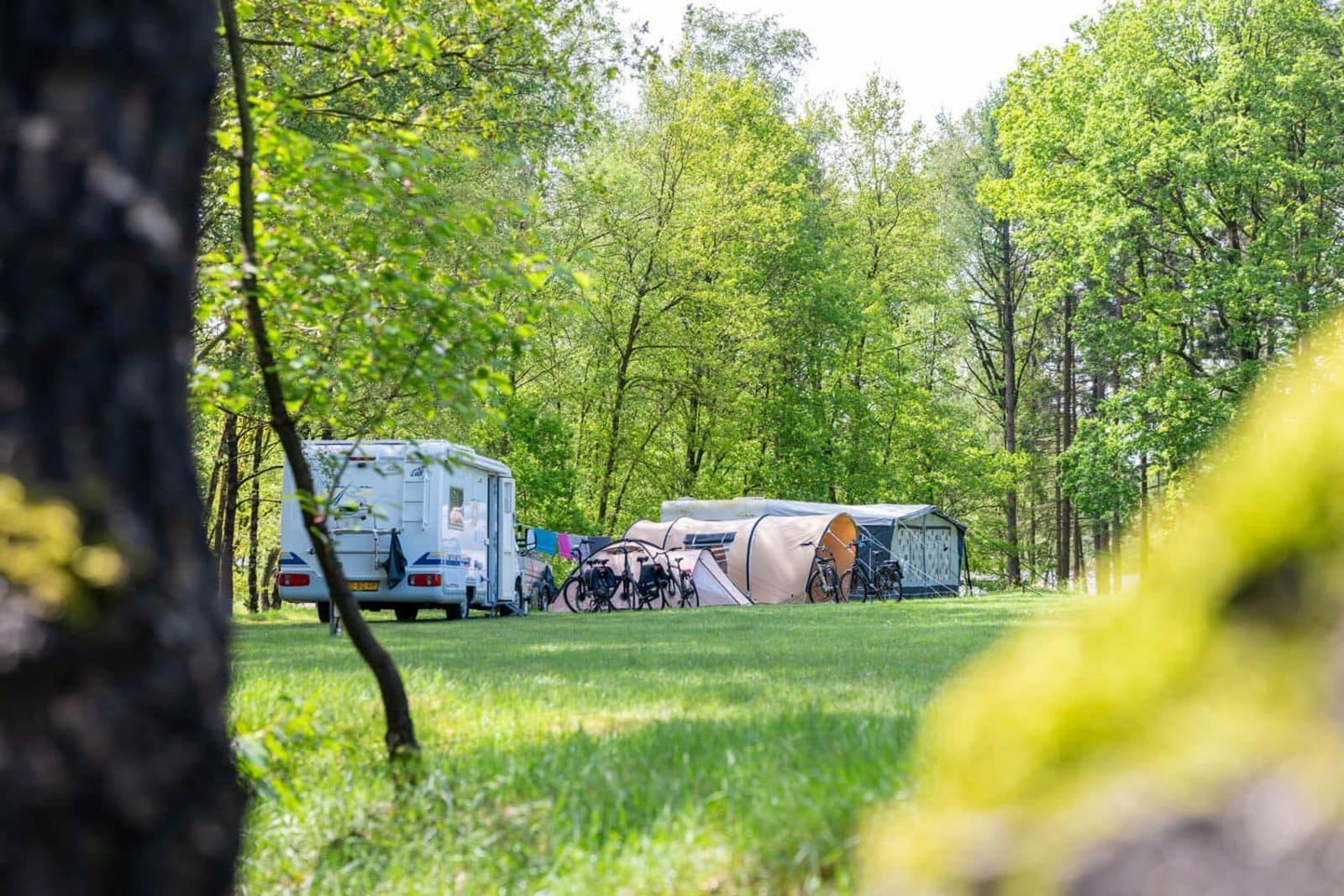 cover_Sfeerbeelden_-Wilsumerberge-27