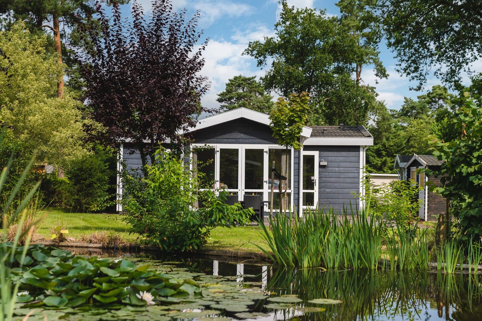 cover_20210722-DickRuumpolFotografie-Hessenheem-LR-013