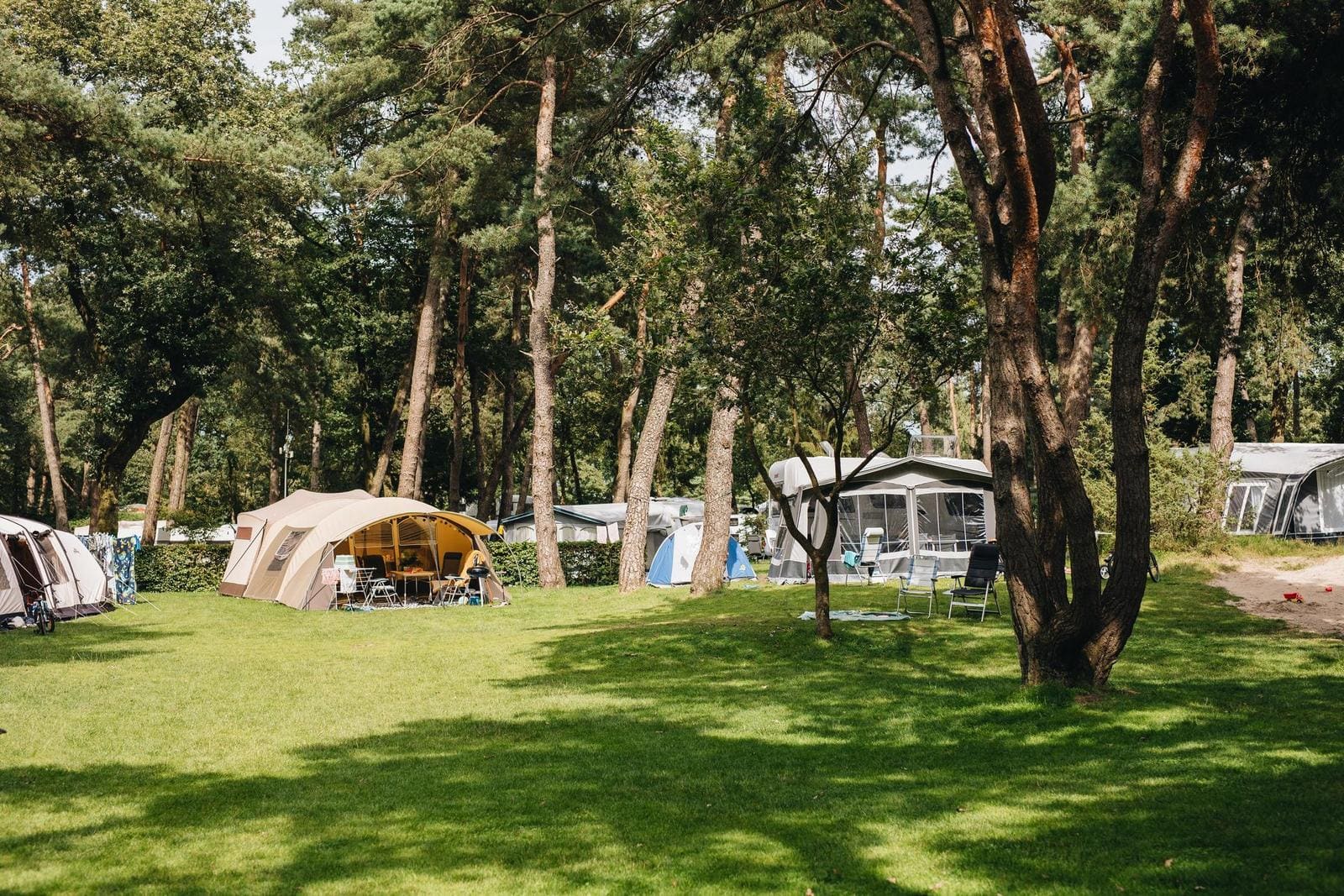 cover_BarbaraTrienenPhoto_024A5559BB_juli24_0358