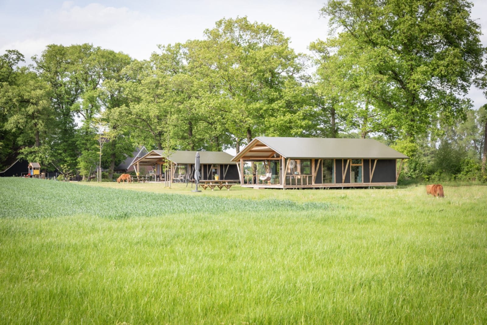 luxe-lodge-nieuw-landrijk-de-reesprong