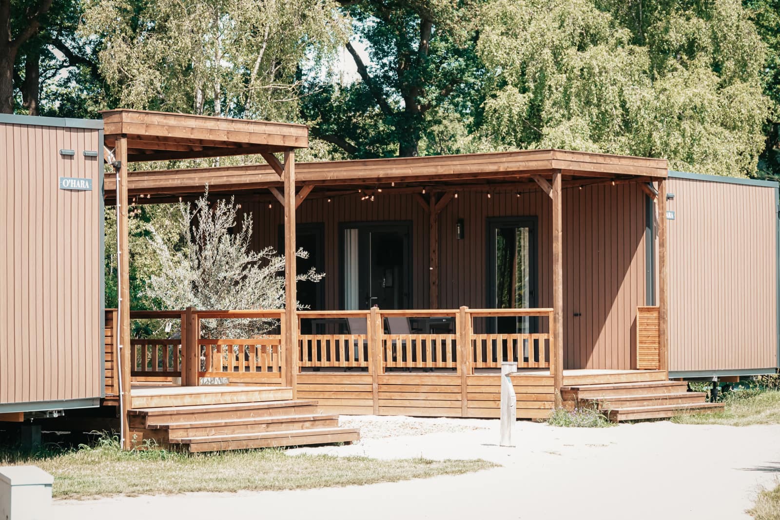tiny-wander-lodge-vakantiepark-sallandshoeve