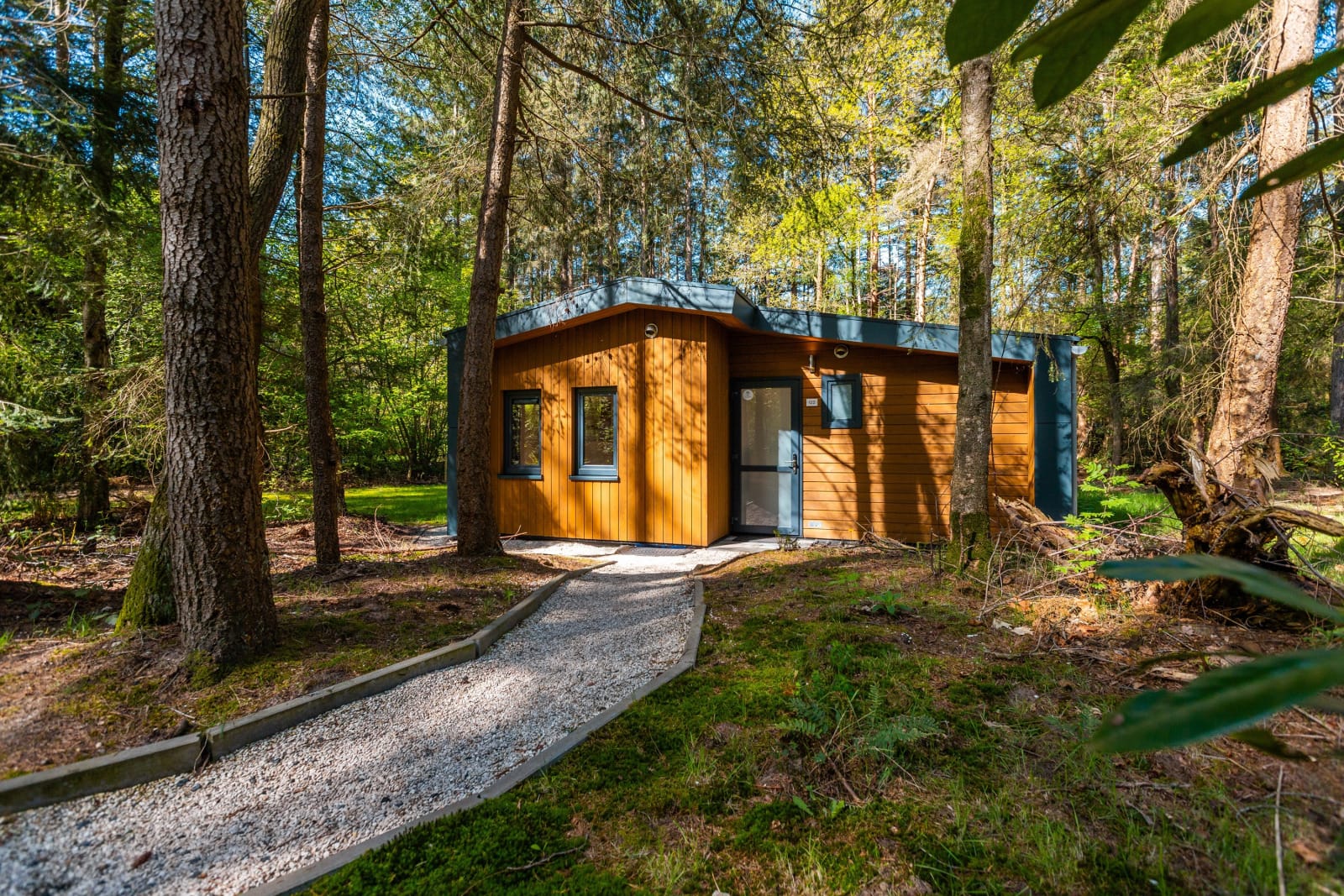 zandborg-lodge-vakantiepark-de-wiltzangh