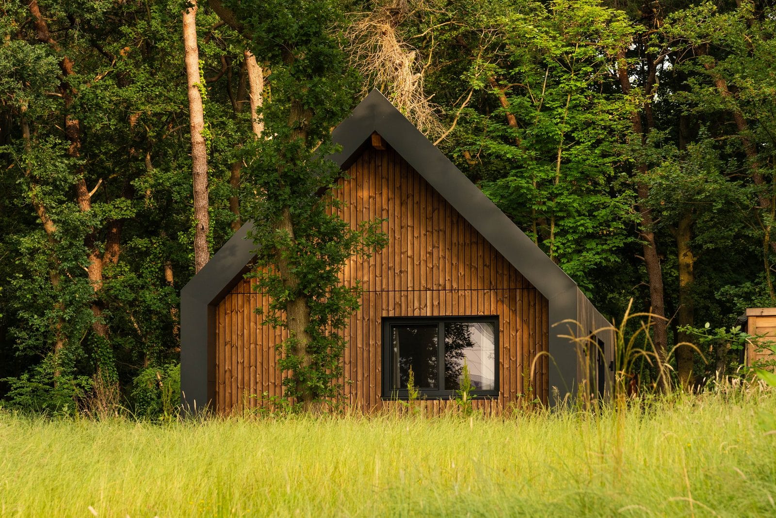 cover_ROODEWOUD_-_ZOMER_2025-261