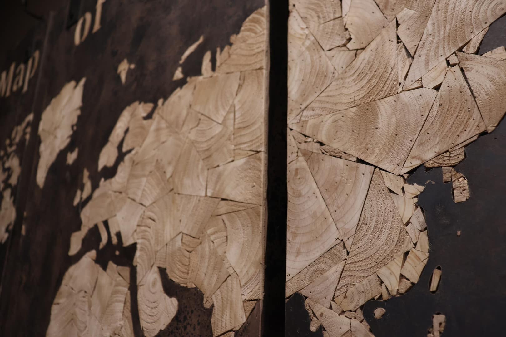 Map of the world - Afbeelding 2