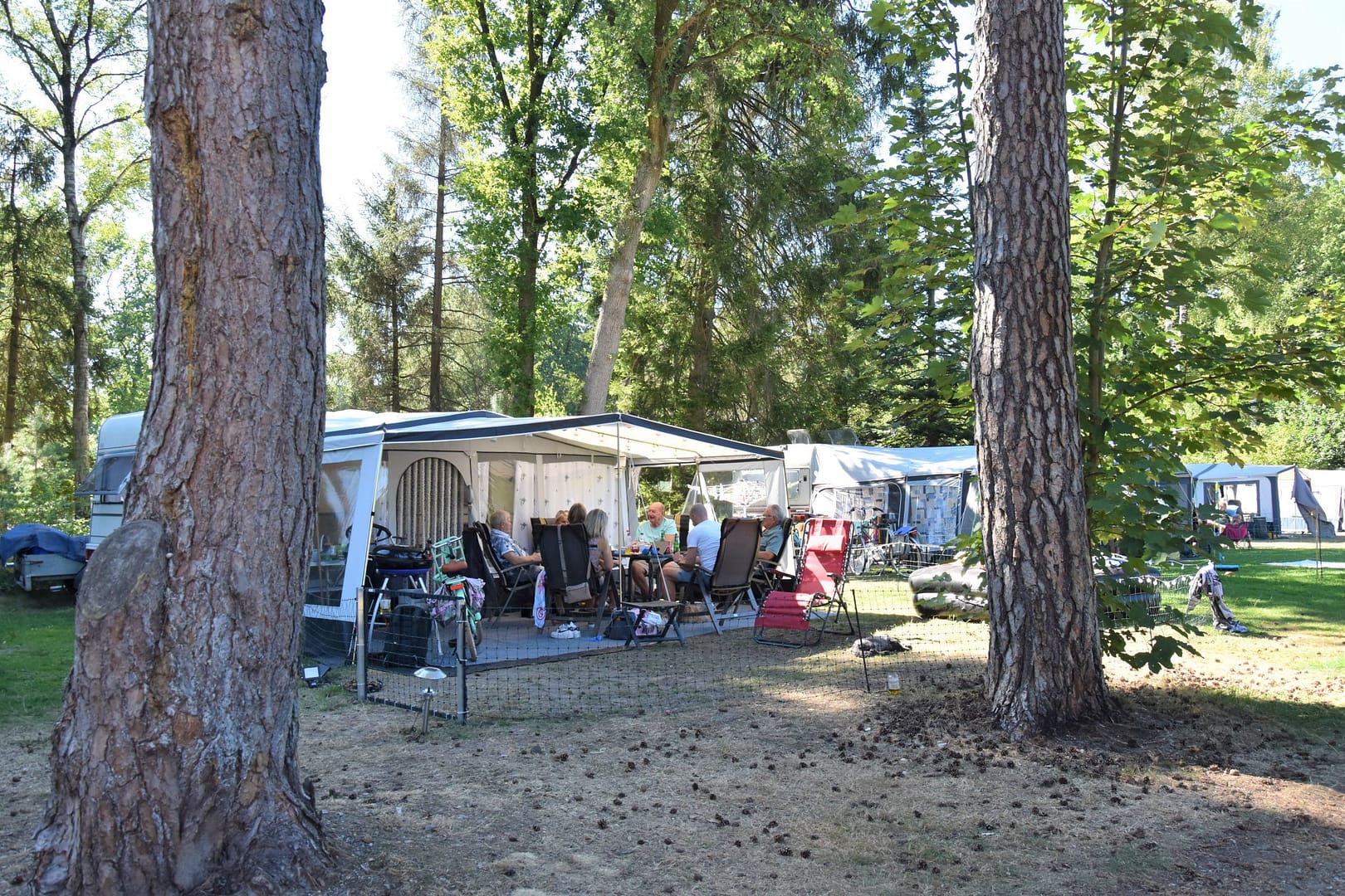 Camping-Ommen-kampeerplaats-honden-toegestaan-Ommervallei-4